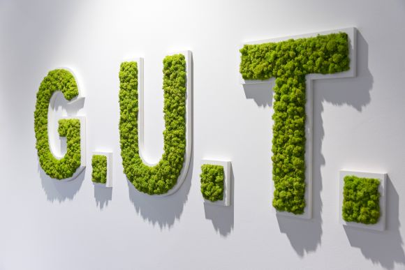 G.U.T.-Logo bewachsen