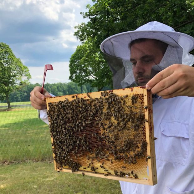 Gute Bienen Imker